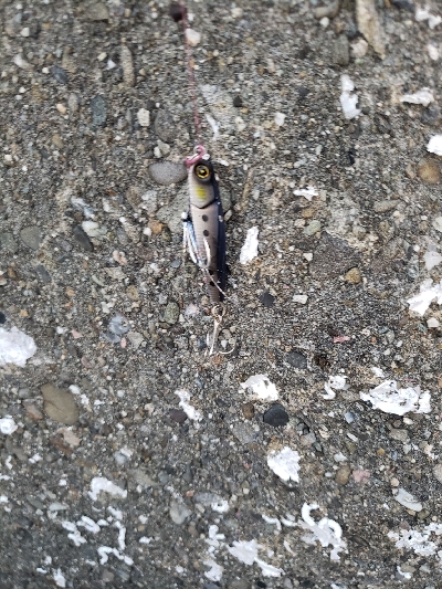 久しぶりの淡路島！