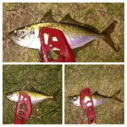 LSJigginger 0510〜0555 アジンガー1845〜1935