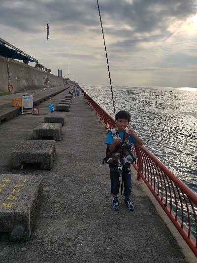 いろんな魚が釣れました❗