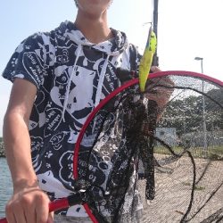 次男とオクトパッシング