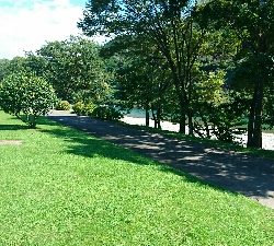 宮リバー度会公園