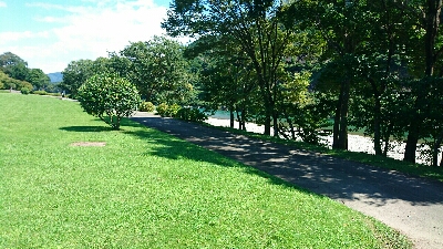 宮リバー度会公園