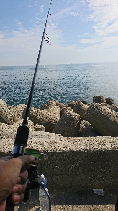 渋い中なんとかゲット サイズも上がってきました