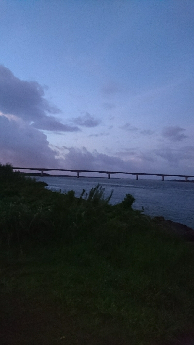 仁淀川河口シーバス