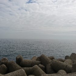 サイズアップしてきました!