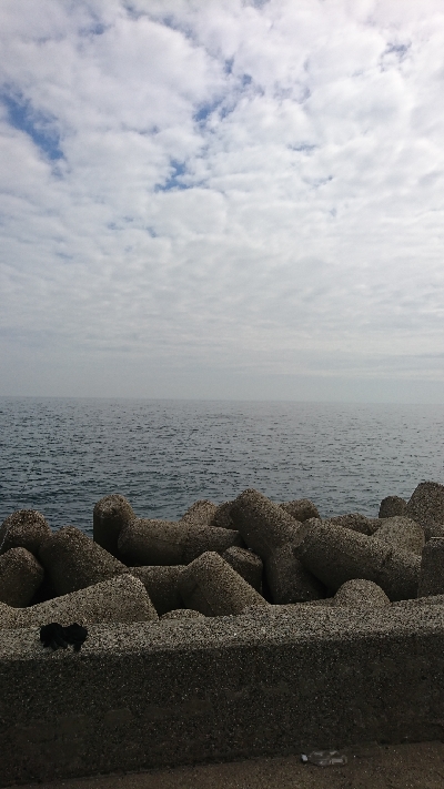 サイズアップしてきました！