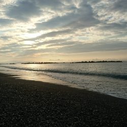 仁淀川周辺サーフライトショアジギング