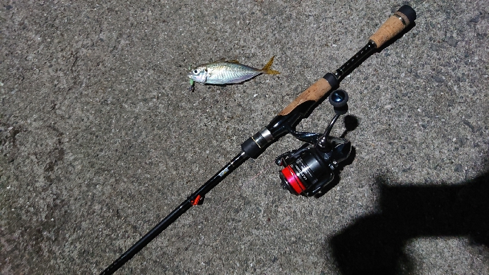 新子の調査に行ったのですが…