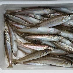 今シーズンイチ