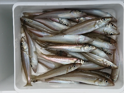 今シーズンイチ