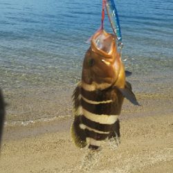 まさかこんな所で