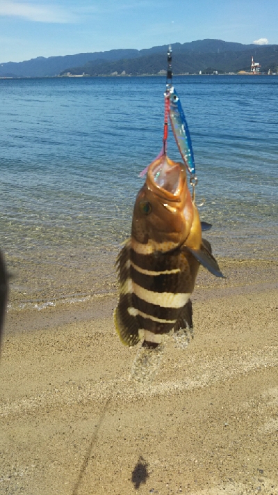 まさかこんな所で