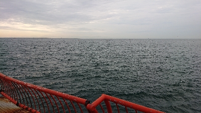 なんとかハマチ