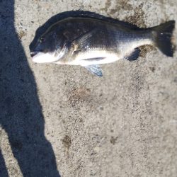 なんとか年無し？