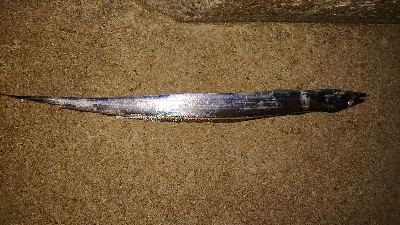 前の日のリベンジ。