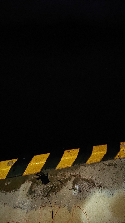 サーベリングのつもりが。