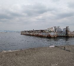 太刀魚はさっぱり