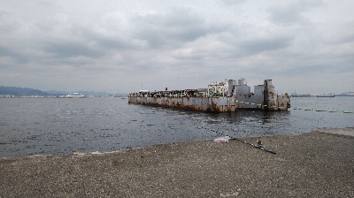 太刀魚はさっぱり