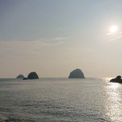 久しぶりのフラットフィッシュ!