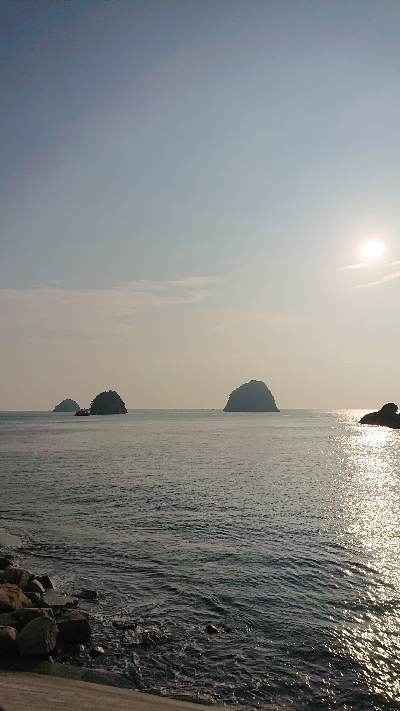 久しぶりのフラットフィッシュ！