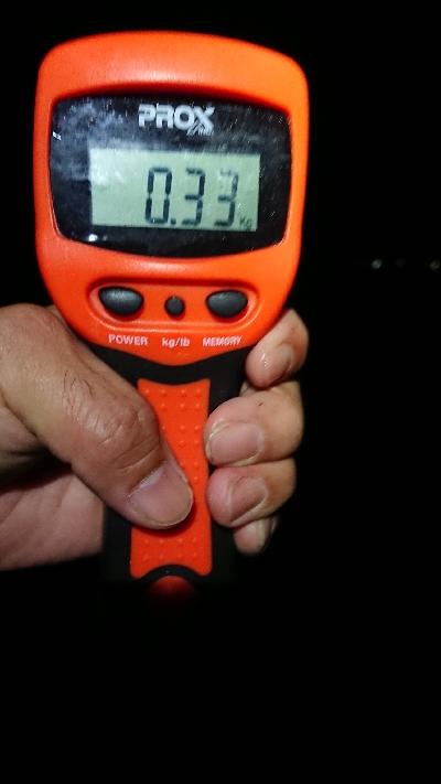 天気が荒れる前に