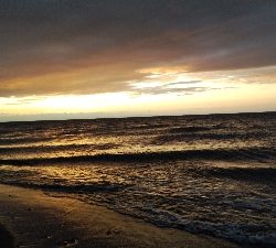 タチウオテンヤ