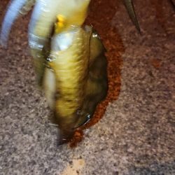 皆さんは知ってる？