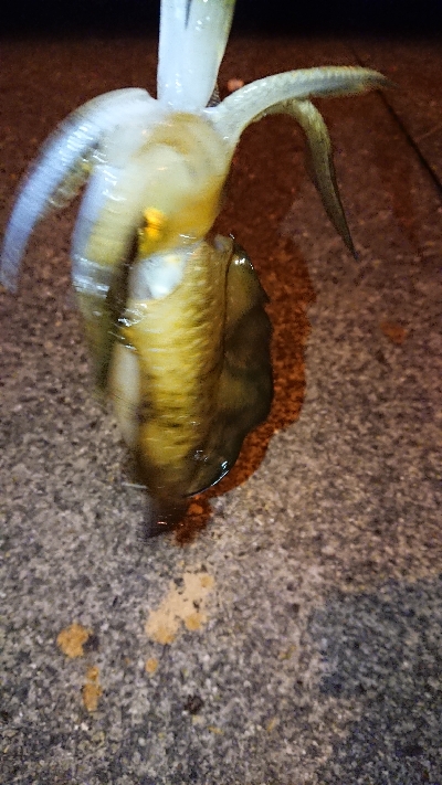 皆さんは知ってる？