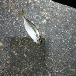 サイズアップ目指して