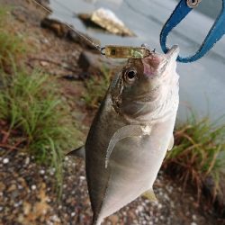 メッキ好調です！