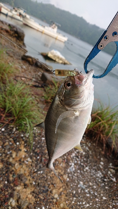 メッキ好調です！