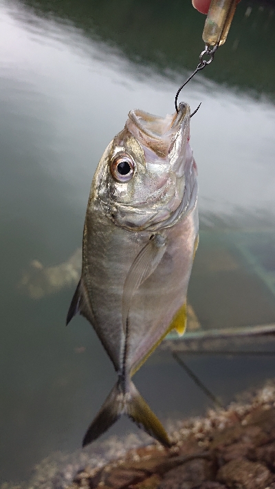 メッキ絶好調です！