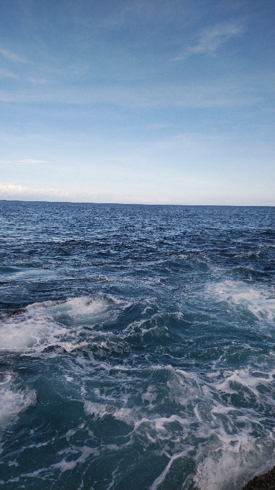 シオもメッキも好調？？？