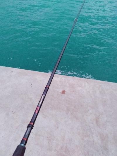 タチウオワインド