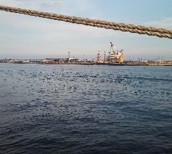 アジサバいっぱいだい2だん