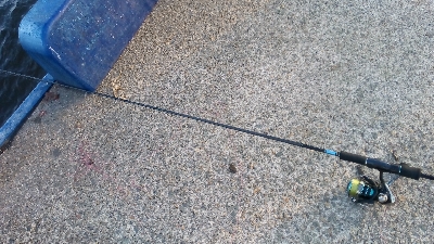 アジ、サバつれた。