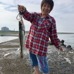 カミさんの大活躍！