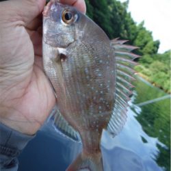 奥能登カヤックパート2