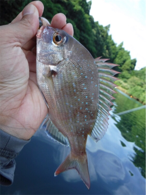 奥能登カヤックパート2