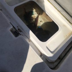 レンタルボートで船長デビュー