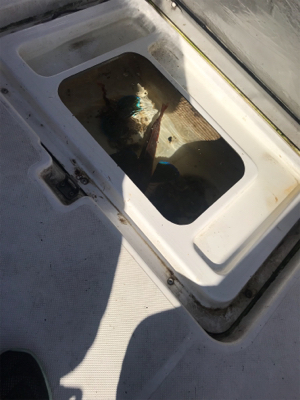 レンタルボートで船長デビュー