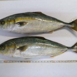 活性…ひくぅ!でもなんとか