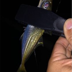 スリリングな攻防！