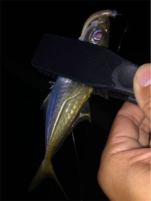 スリリングな攻防！