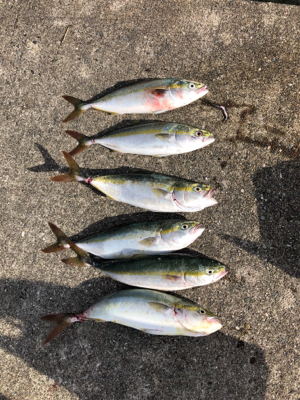 久々のポーアイ