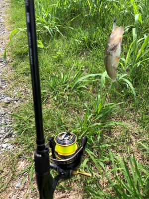 バスを探して出勤