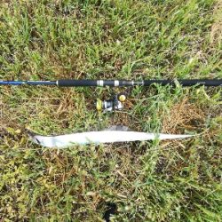 LSJigginger0700〜0730