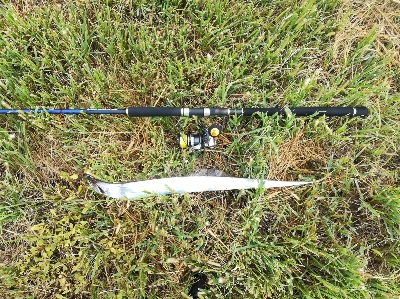 LSJigginger0700〜0730