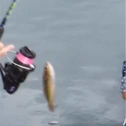 家族でハゲ狩り!