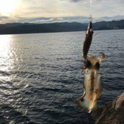 今年は遅い⁉︎